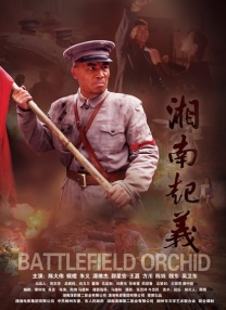九天美星空大象免费观看